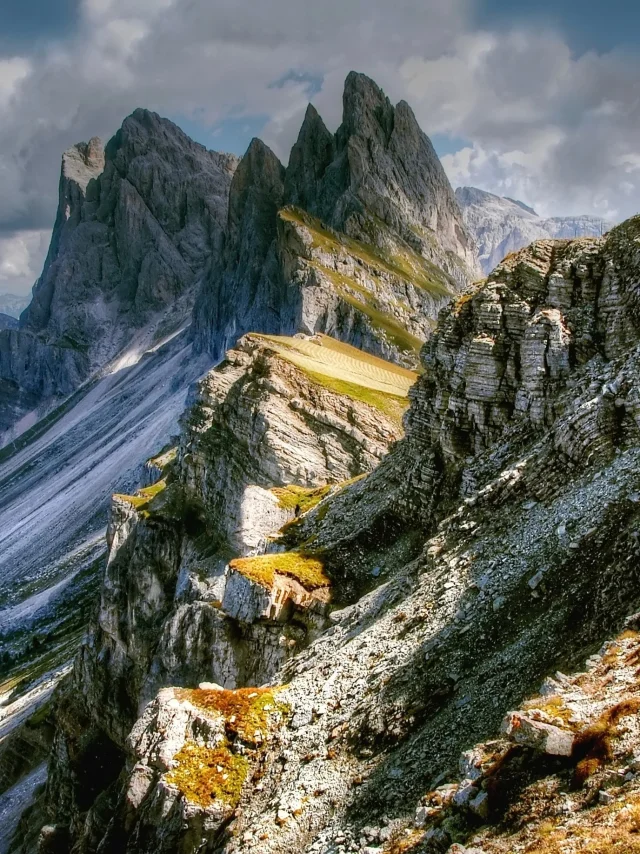 Addon Starter Afbeelding 9