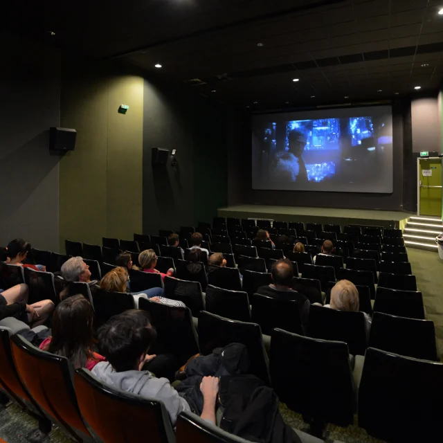 Cinéma du Palais des Sports