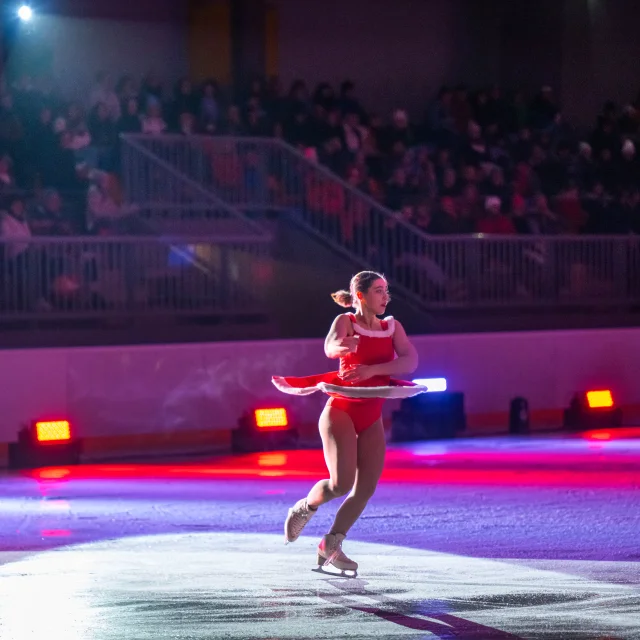Patinoire du Palais des Sports