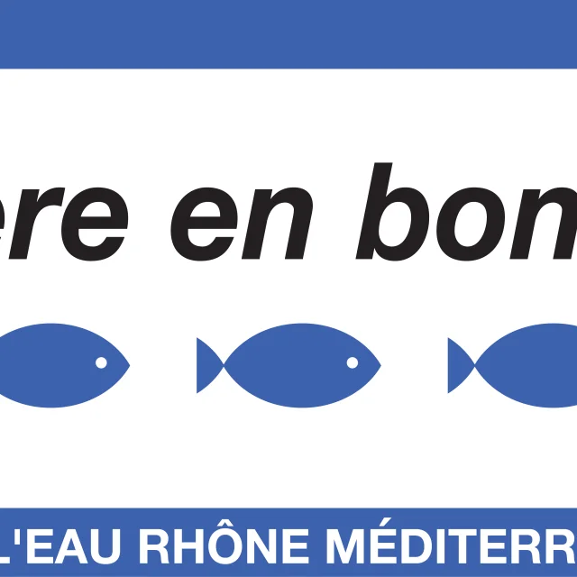 Logo Riviere In Goede Staat