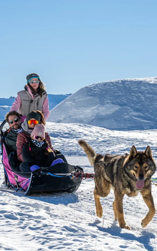 huskytocht voor het hele gezin