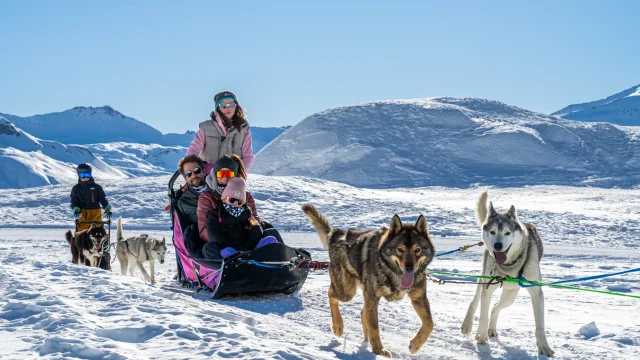 Family husky ride