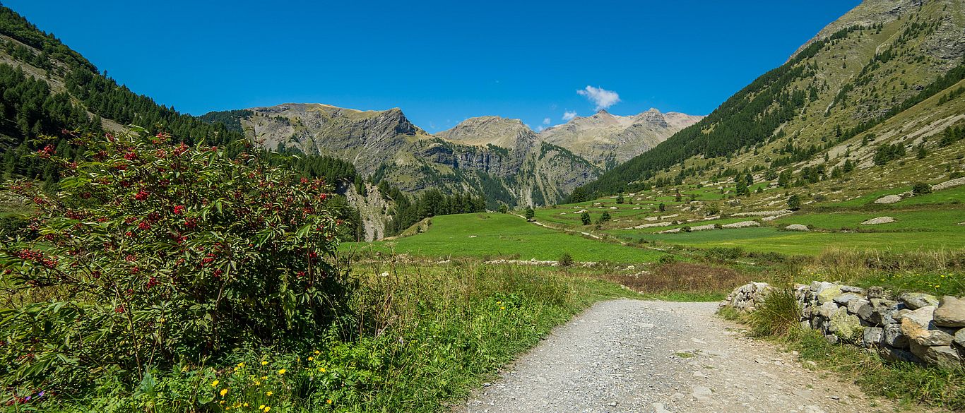 Plateau de Charnière - © Gilles Baron Plateau de Charnière - © Gilles Baron