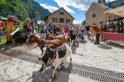 St. Anne's Day in Prapic (© Gilles Baron)