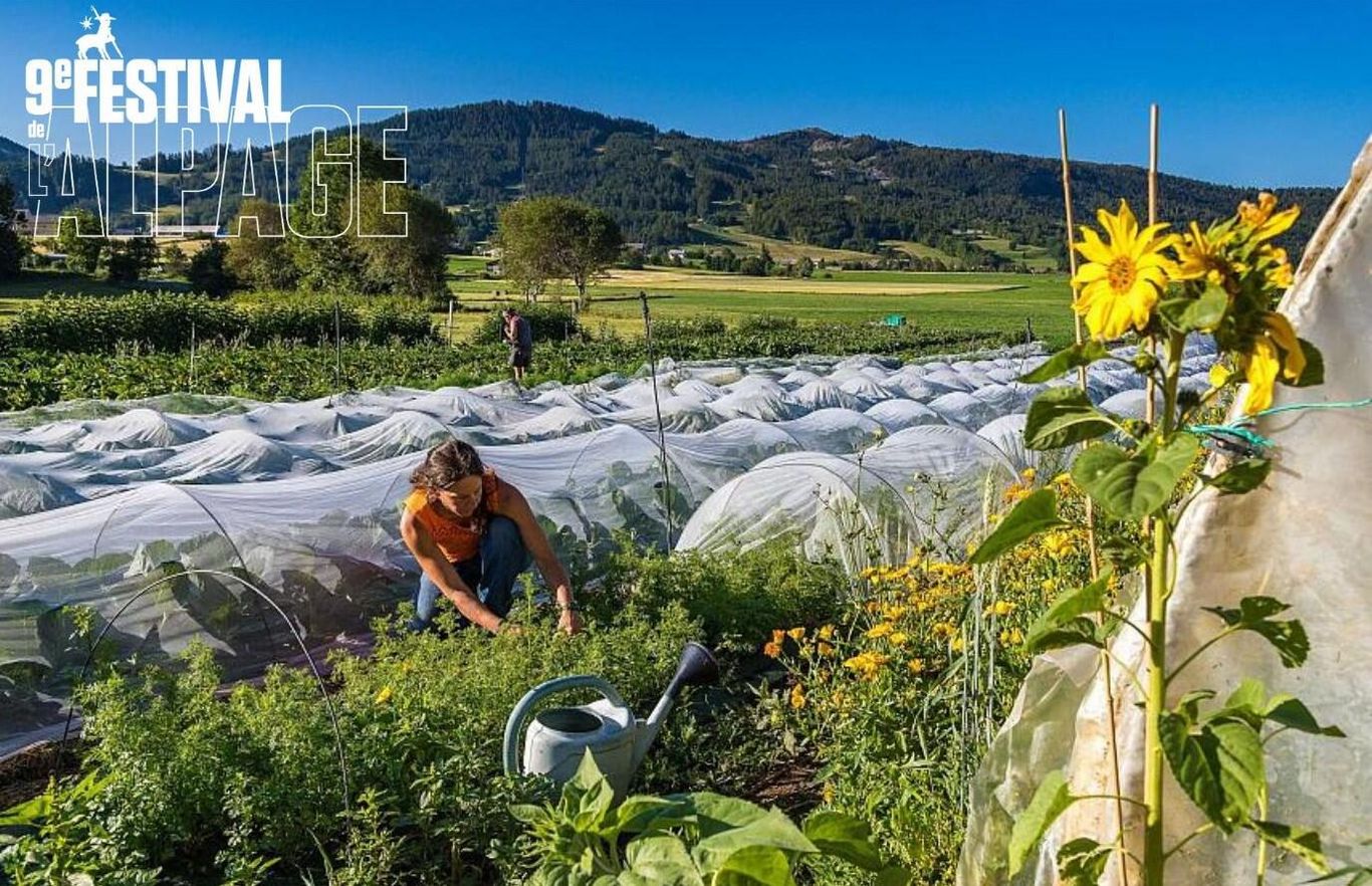 Festival de l'Alpage : Randonnée en alpage à Prapic_Orcières