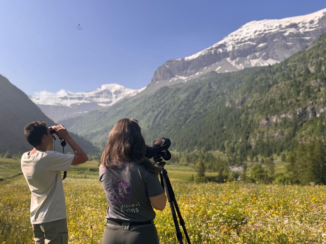 IMG_6879 - © Lauryne Tur, Parc national des Ecrins.