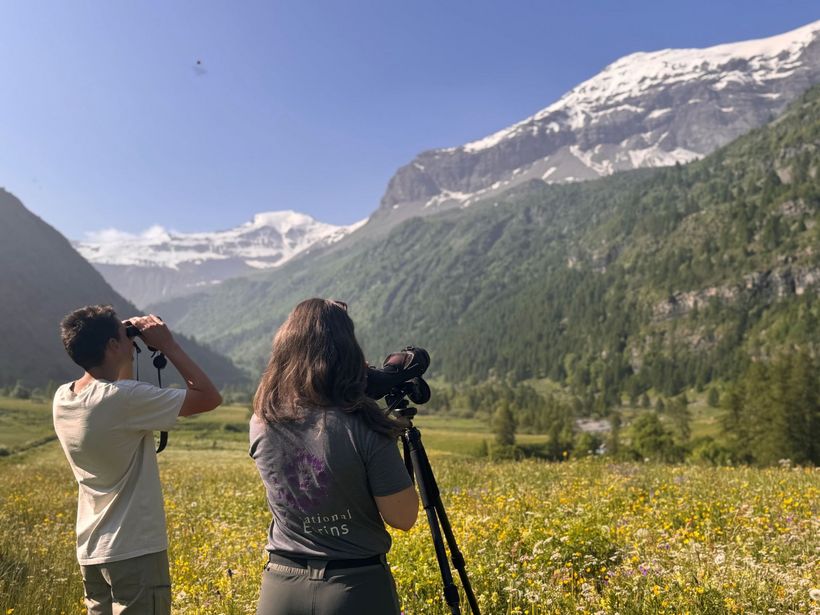IMG_6879 - © Lauryne Tur, Parc national des Ecrins.