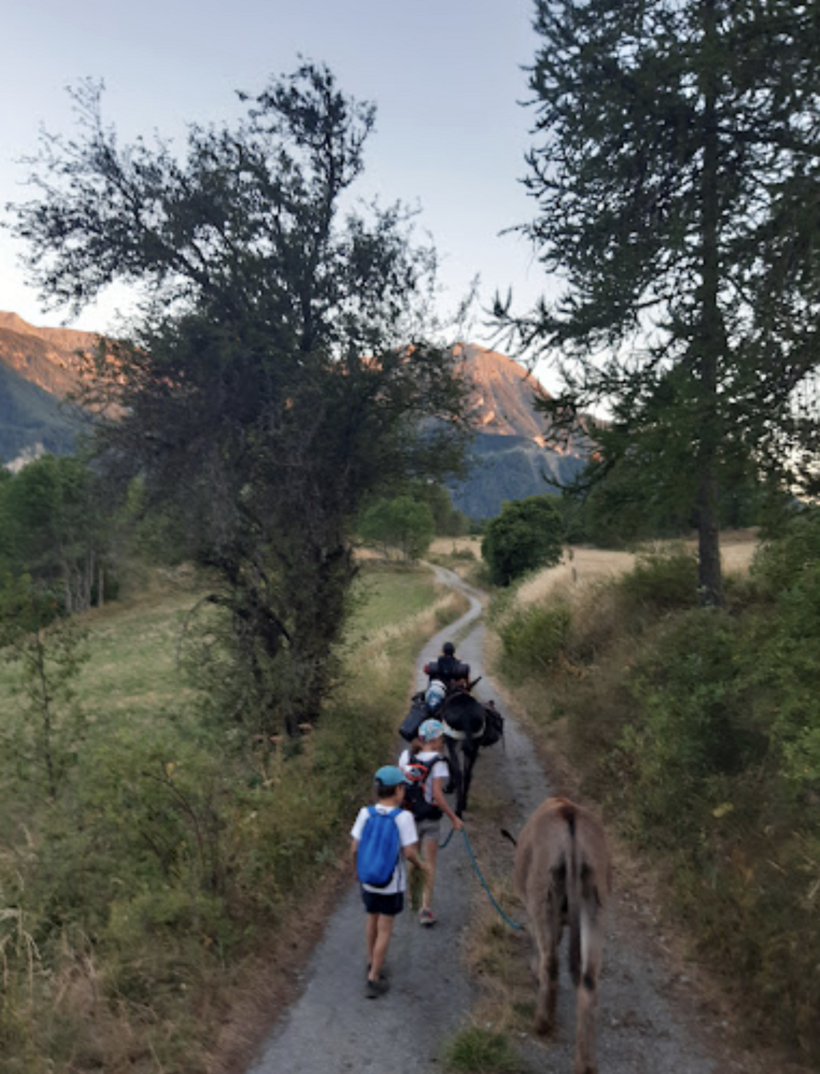 Randonnée avec les ânes - Arbraventure à Champoléon - © Arbraventure / Pilourdault