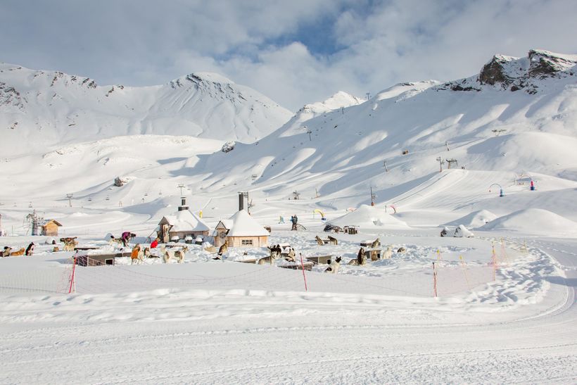 Alpi traineau - Orcières - © Alpi traineau - Orcières