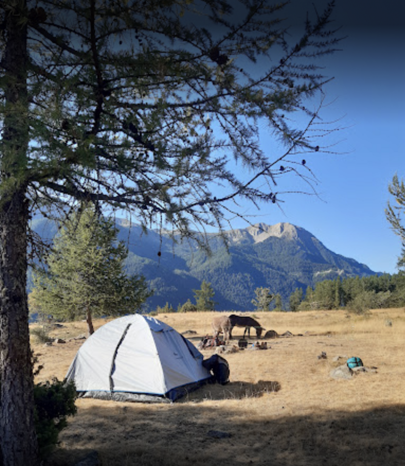 Bivouac avec les ânes - Arbraventure à Champoléon - © Arbraventure / Pilourdault