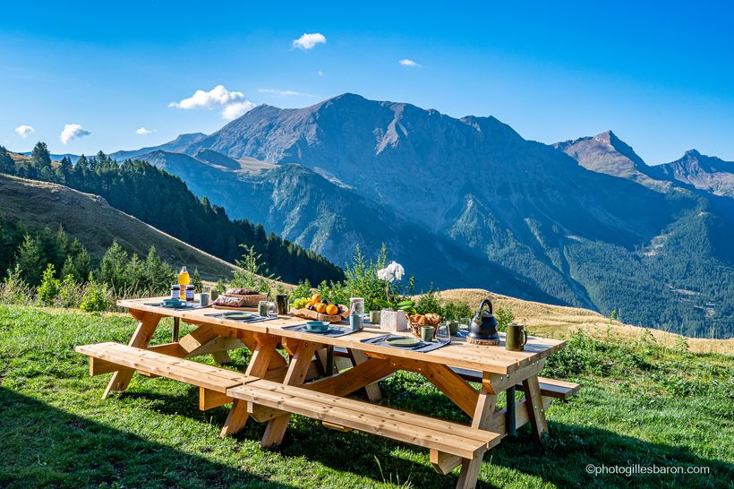 Table de pique nique