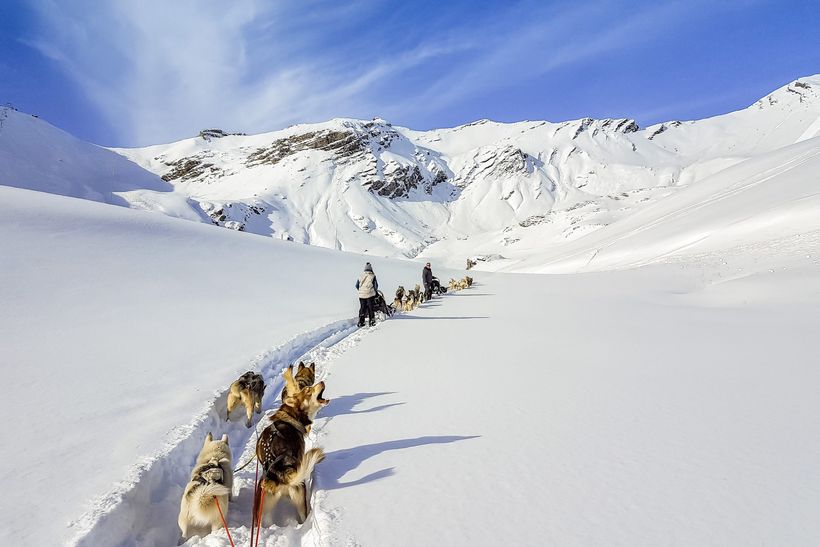 Alpi traineau - Orcières - © Alpi traineau - Orcières