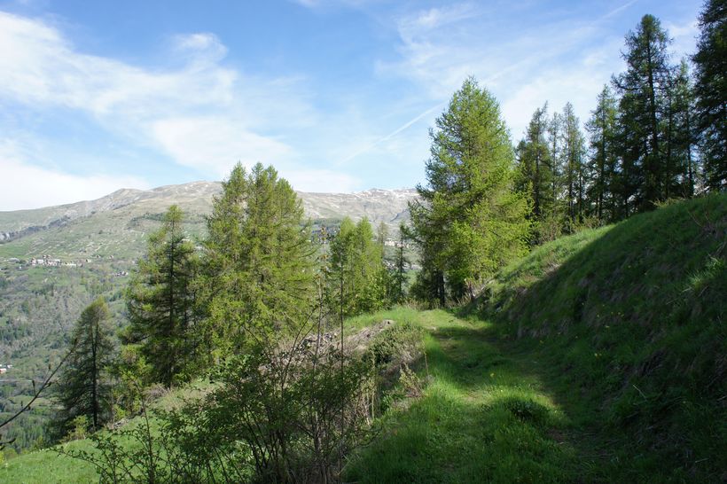 Parcours Trail 'Les Audiberts' - © Simon Galleron