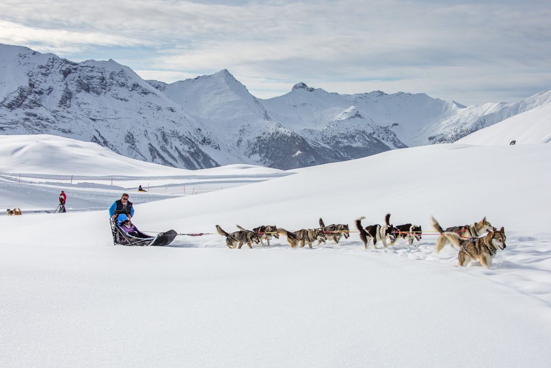 Orcières Merlette 1850: Chiens de traineaux et igloos - Alpi Traineau