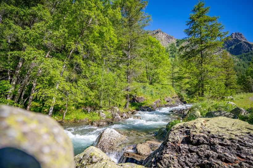 Torrent de Blaisil - © Emma Vuylsteker