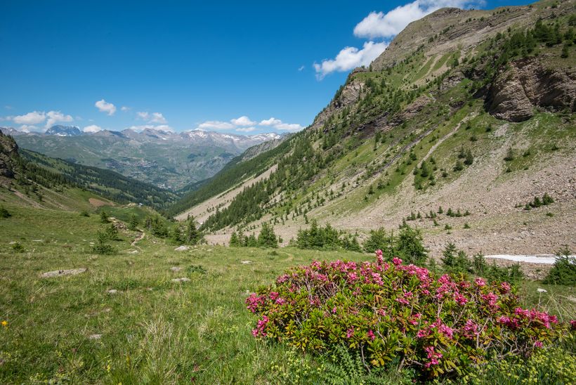 Le vallon de Rouannette - © Gilles Baron