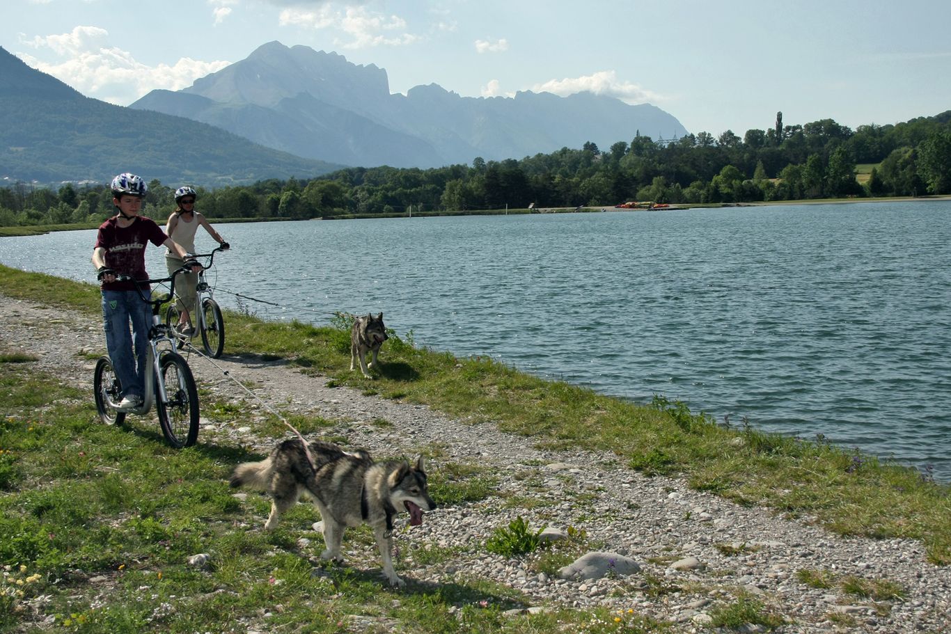 Cani-Trot' - Alpi Traineau - © François BOUSSIQUET