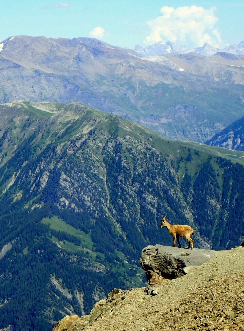 Céline Desmet - Accompagnatrice en montagne - © Céline Desmet