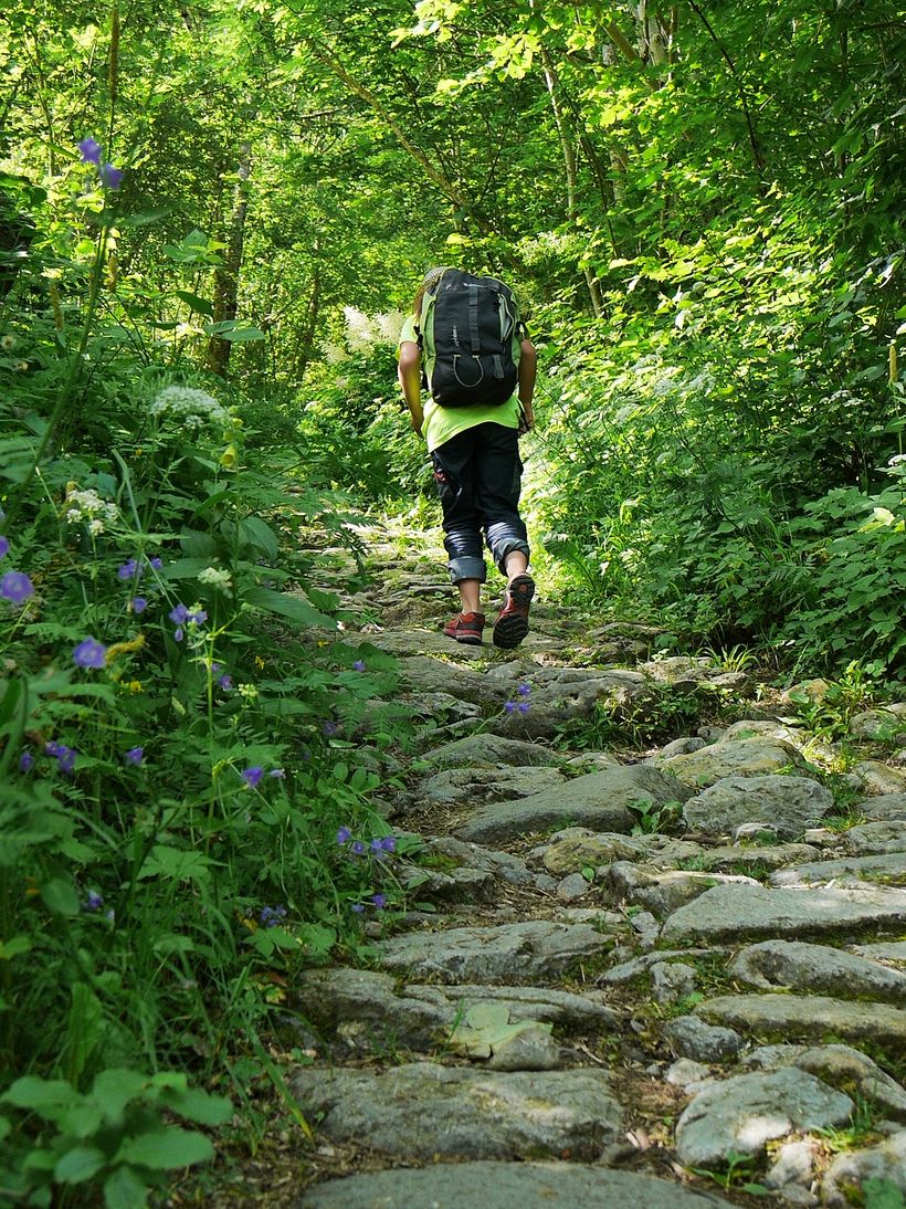 Montée au Lauvitel - © Eric BEALLET