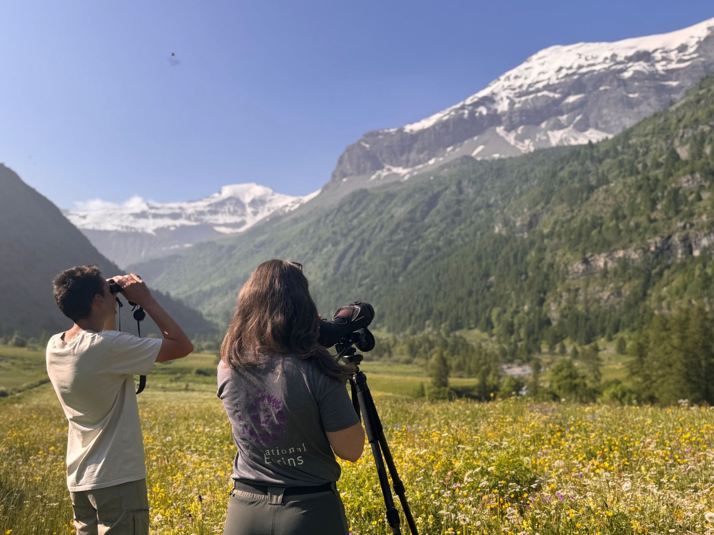IMG_6879 - © Lauryne Tur - Parc national des Ecrins.