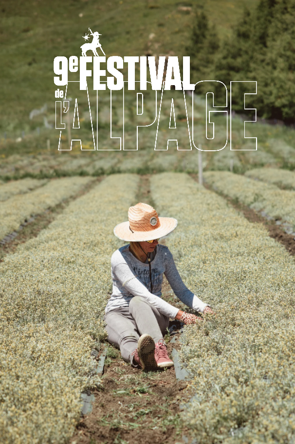 Festival de l'Alpage : Visite d'une culture de Génépi de Guillaumette_Orcières